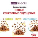 Royal Canin (Роял Канин) Sensory Feel in Jelly – Влажный корм с мясом для взрослых кошек, стимулирующий осязательные рецепторы ротовой полости (кусочки в желе)