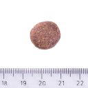 Brit Care (Брит Кеа) GF Junior Large Breed Salmon and Potato - Сухой беззерновой корм с лососем для молодых собак крупных пород