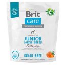 Brit Care (Брит Кеа) GF Junior Large Breed Salmon and Potato - Сухой беззерновой корм с лососем для молодых собак крупных пород