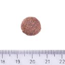 Brit Care (Брит Кеа) Dog Sustainable Adult Medium Breed - Сухой корм с курицей и насекомыми для взрослых собак средних пород