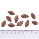 Brit Care (Брит Кеа) Dog Sustainable Activity - Сухой корм с курицей и насекомыми для собак с повышенной активностью