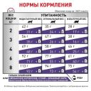 Royal Canin (Роял Канин) Mature Consult - Сухой корм для кошек старше 7 лет