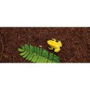 Exo Terra (Экзо Терра) Plantation Soil - Субстрат для террариумных животных