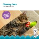 Petstages (Петстейджес) Catstages Strawberry Teether – Клубничка Игрушка для кошек для жевания, чистки зубов и массажа десен с ароматом клубники