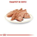Royal Canin (Роял Канин) Poodle - Влажный корм для собак породы для пудель
