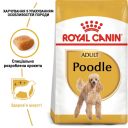 Royal Canin (Роял Канин) Poodle - Сухой корм собак породы для пудель