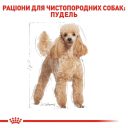 Royal Canin (Роял Канин) Poodle - Сухой корм собак породы для пудель