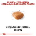 Royal Canin (Роял Канин) Poodle - Сухой корм собак породы для пудель