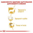 Royal Canin (Роял Канин) Poodle - Сухой корм собак породы для пудель
