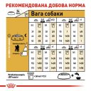 Royal Canin (Роял Канин) Poodle - Сухой корм собак породы для пудель