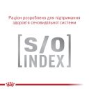 Royal Canin (Роял Канин) Fussy - Сухой корм для взрослых кошек с привередливым аппетитом