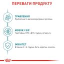 Royal Canin (Роял Канін) Ageing 11+ - Сухий корм для котів віком від 11 років
