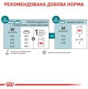 Royal Canin (Роял Канин) Ageing 11+ -  Консервы для котов старше 11лет, в соусе