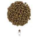 Rafi (Рафи) Adult Cat Sterilized with Salmon - Сухой корм для стерилизованных котов с лососем