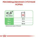 Royal Canin (Роял Канин) Digestive Care Loaf - Консервированный корм для собак с чувствительной пищеварительной системой