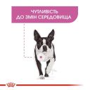 Royal Canin (Роял Канин) Relax Care Loaf - Консервированный корм для собак разных размеров, чувствительных к изменениям среды