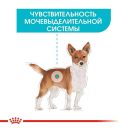 Royal Canin (Роял Канин) Urinary Care Loaf - Консервированный корм для собак разных размеров с чувствительной мочевыделительной системой