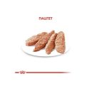 Royal Canin (Роял Канин) Dermacomfort Loaf - Консервированный корм для собак разных размеров с чувствительной кожей, склонной к раздражениям