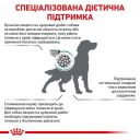 Royal Canin (Роял Канин) Diabetic Dog - Сухой лечебный корм для собак при сахарном диабете