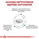 Royal Canin (Роял Канин) Diabetic Dog - Сухой лечебный корм для собак при сахарном диабете