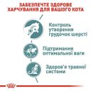 Royal Canin (Роял Канин) Hairball Care- Консервированный корм для кошек старше 1 года (кусочки в соусе)