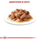 Royal Canin (Роял Канин) Hairball Care- Консервированный корм для кошек старше 1 года (кусочки в соусе)