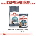 Royal Canin (Роял Канин) Hairball Care- Консервированный корм для кошек старше 1 года (кусочки в соусе)