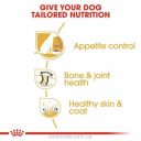 Royal Canin (Роял Канин) Labrador Retriever Adult Sterilised – Сухой корм для стерилизованных лабрадоров