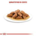 Royal Canin (Роял Канин) Medium Adult - Консервы для собак средних пород