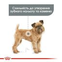 Royal Canin (Роял Канин) Mini Dental Care - корм для собак с повышенной чувствительностью зубов