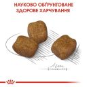 Royal Canin (Роял Канин) Mini Dental Care - корм для собак с повышенной чувствительностью зубов