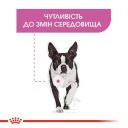 Royal Canin (Роял Канин) Mini Relax Care - Сухой корм для собак подверженных стрессовым факторам