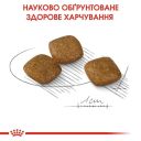 Royal Canin (Роял Канин) Mini Relax Care - Сухой корм для собак подверженных стрессовым факторам