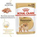 Royal Canin (Роял Канин) Pomeranian Loaf – Консервированный корм для взрослых и стареющих собак породы померанский шпиц (паштет)