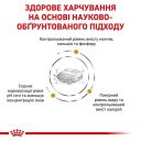 Royal Canin (Роял Канин) Urinary S/O Moderate Calorie Dog - Сухой лечебный корм для взрослых собак, склонных к ожирению, при заболеваниях нижних мочевыводящих путей