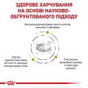 Royal Canin (Роял Канин) Urinary S/O Small Dog - Сухой лечебный корм для собак при заболеваниях мочевыделительной системы