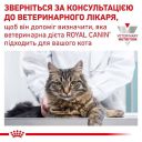 Royal Canin (Роял Канин) Urinary S/O Cat - Влажный корм для кошек при заболеваниях дистального отдела мочевыделительной системы (с курицей кусочки в соусе)