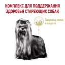 Royal Canin (Роял Канин) Yorkshire Ageing 8+ - Сухой корм для пожилых собак породы йоркширский терьер