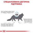 Royal Canin (Роял Канин) Skin&Coat Cat - Ветеринарная диета для котов после стерилизации при дерматозе и выпадении шерсти