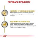 Royal Canin (Роял Канин) Urinary S/O Canine Ageing 7+ - Лечебные консервы для собак при заболеваниях нижних мочевыводящих путей (паштет)