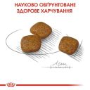 Royal Canin (Роял Канин) Mini Urinary Care - Сухой корм для собак с чувствительной мочевыделительной системой