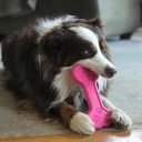 SodaPup (Сода Пап) Nylon Bone – Жевательная игрушка Косточка для собак, розовая