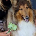 Safari Curved Firm Slicker Brush - Пуходерка для собак изогнутая для длинной шерсти