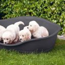 Stefanplast (Стефанпласт) Sleeper 4 - Пластиковый лежак для собак и котов