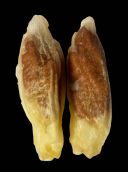 Nature's Protection (Нейчерс Протекшн) rabbit ears with duck – Лакомства для массажа десен у собак (уши кролика/утка)