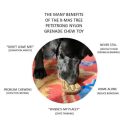 SodaPup (Сода Пап) Nylon Peanut – Игрушка жевательная Арахис из суперпрочного материала для собак