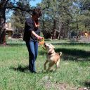 SodaPup (Сода Пап) Opener Tug Toy – Игрушка жевательная Кольцо для открывания из суперпрочного материала для собак