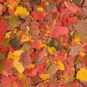 ТМ "Природа" Корм "Биовит Колор " для яркоокрашенных аквариумных рыб