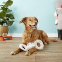 Jolly Pets Перетяжка "Слон" для собак