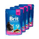Brit Premium (Брит Премиум) Cat pouch Chicken & Turkey - Набор паучей с курицей и индейкой для кошек